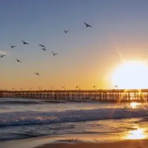 Ventura Pier And Promenade